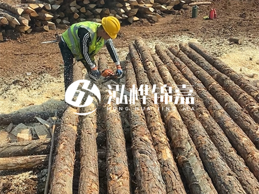 松木樁批發廠家泓樺錦嘉-河道打樁木施工中怎么防止樁頭被打壞?