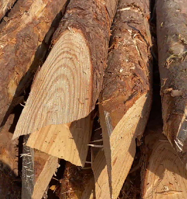 松木樁施工隊泓樺錦嘉 - 原木松木樁的最低起訂量是多少？