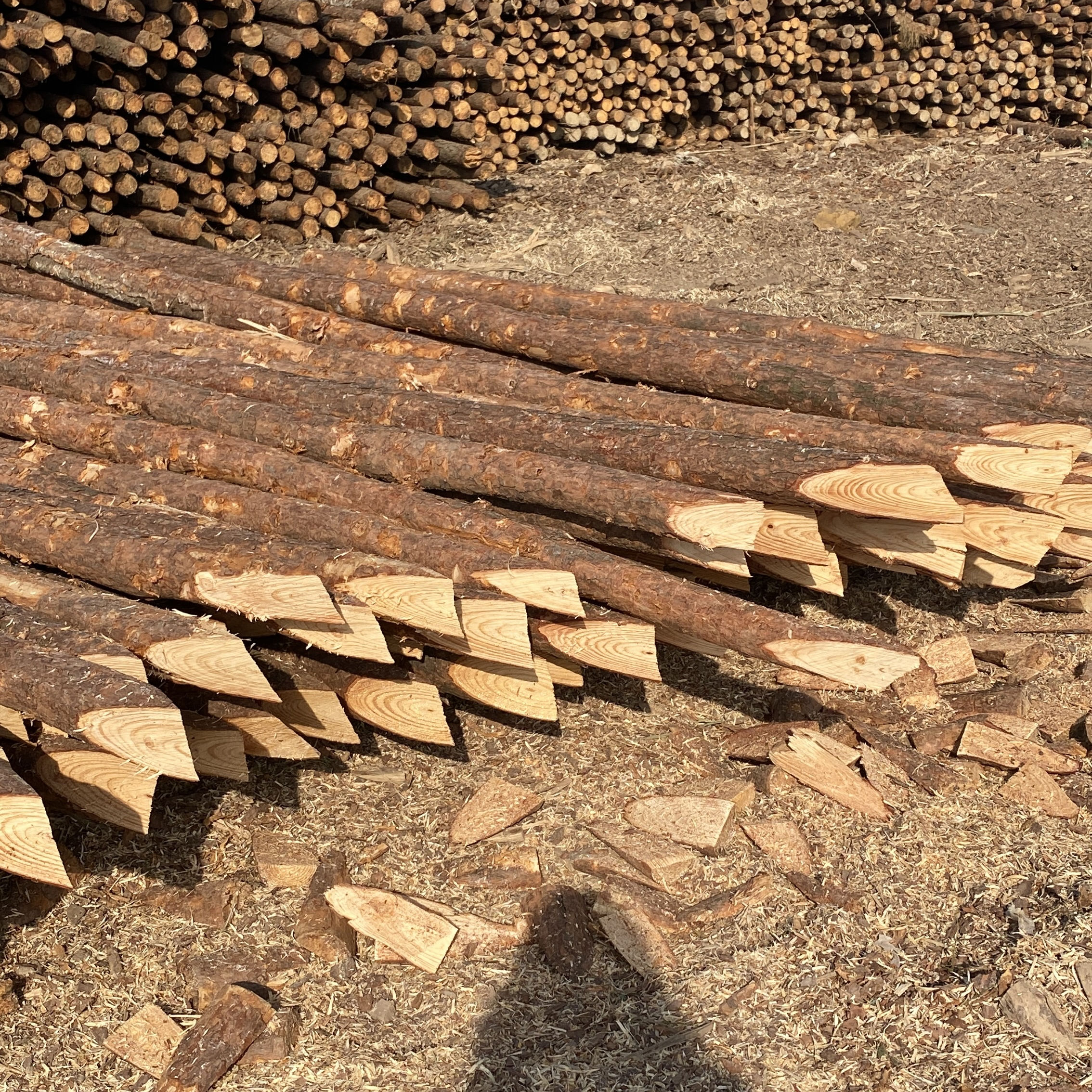 松木樁施工隊泓樺錦嘉-樁與樁之間的距離要求？