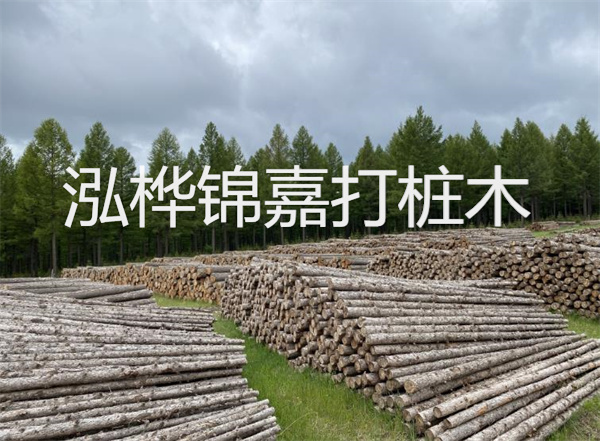 杉木板2cm多少錢一平方?